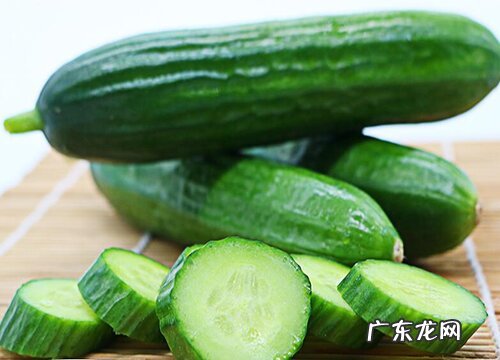 黄瓜是什么季节的水果