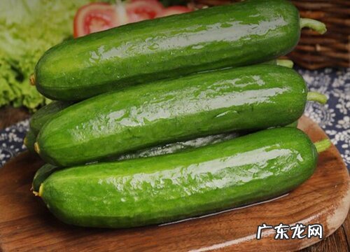 黄瓜是什么季节的水果