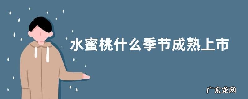 水蜜桃什么季节成熟上市