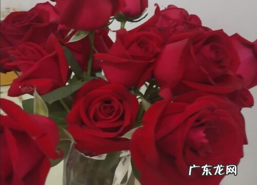 47朵玫瑰花花语代表什么意思