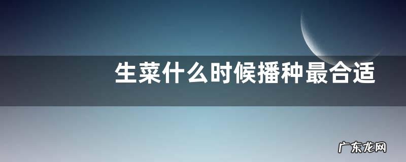 生菜什么时候播种最合适