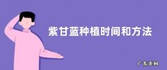 紫甘蓝种植时间和方法