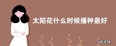 太阳花什么时候播种最好