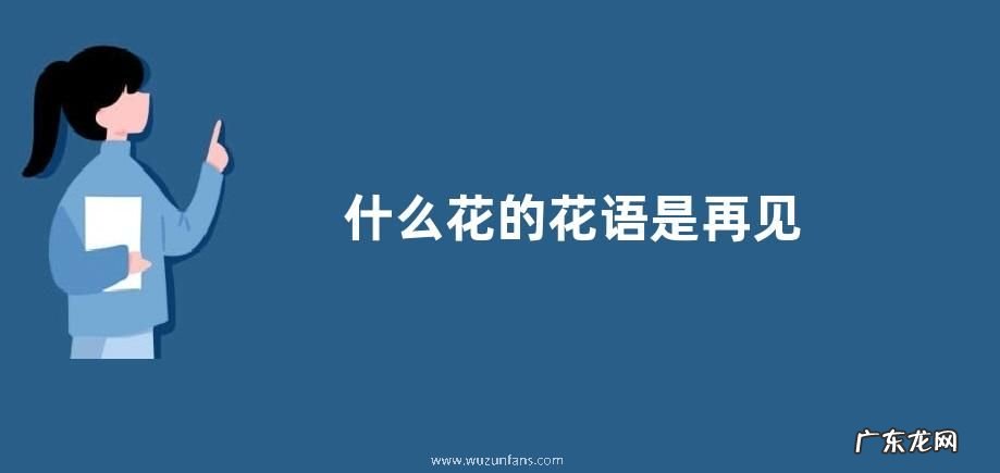 什么花的花语是再见