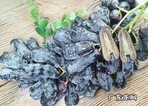 黑提是什么季节的水果