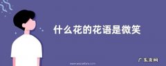 什么花的花语是微笑