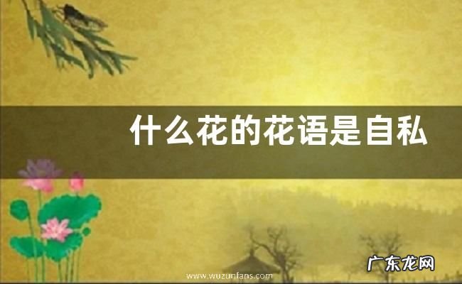 什么花的花语是自私