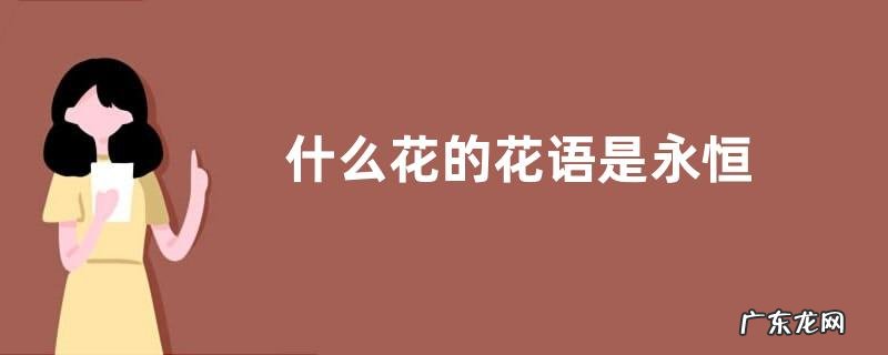 什么花的花语是永恒
