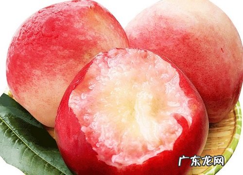 水蜜桃是什么季节的水果