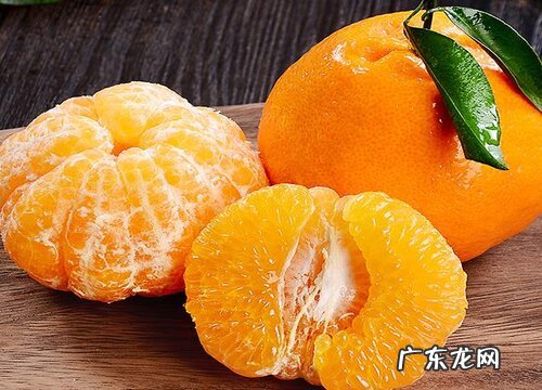 春见是什么季节的水果