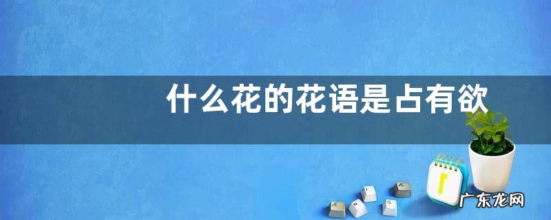 什么花的花语是占有欲