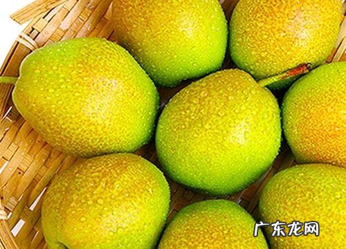香梨是什么季节的水果