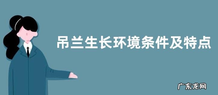 吊兰生长环境条件及特点