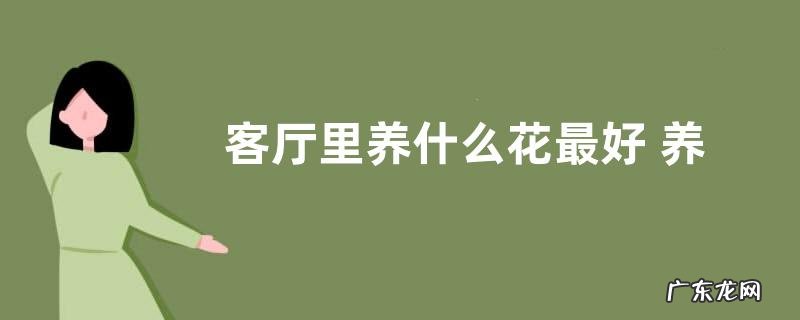 客厅里养什么花最好 养在客厅好看又吉利的花卉