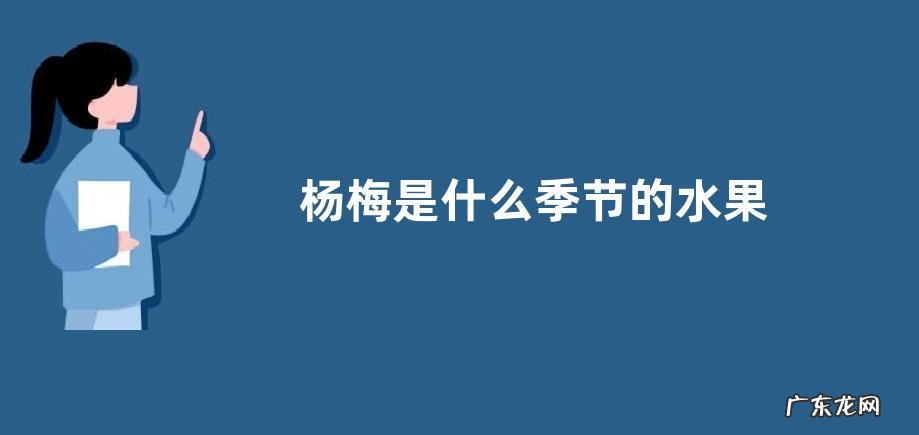 杨梅是什么季节的水果