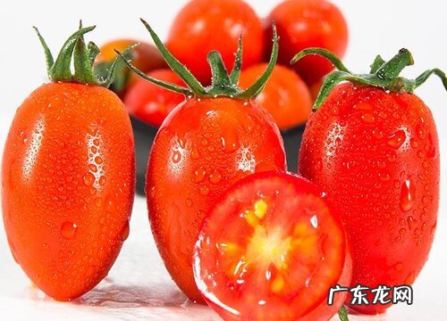 小番茄是什么季节的水果