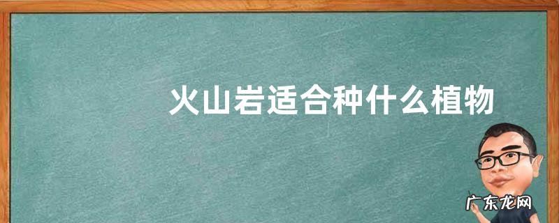 火山岩适合种什么植物