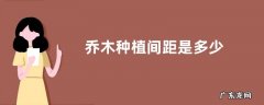 乔木种植间距是多少