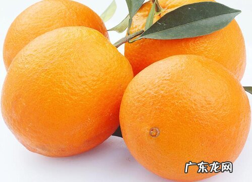 柑橘类的水果有哪些