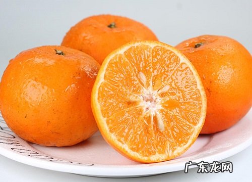 温州特产水果有哪些