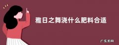 雅日之舞浇什么肥料合适