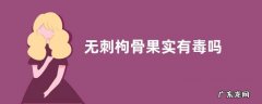无刺枸骨果实有毒吗