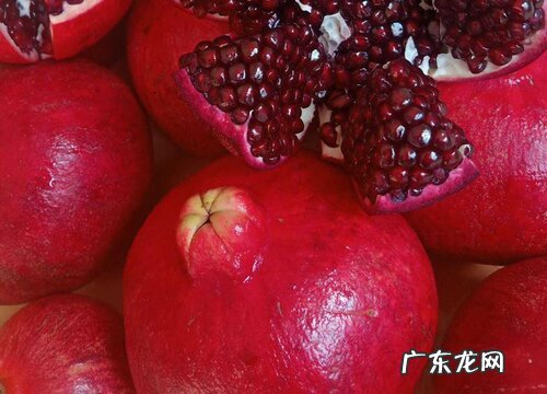 西安特产水果有哪些