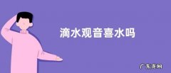 滴水观音喜水吗