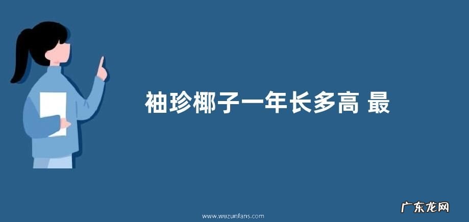 袖珍椰子一年长多高 最高能长多高