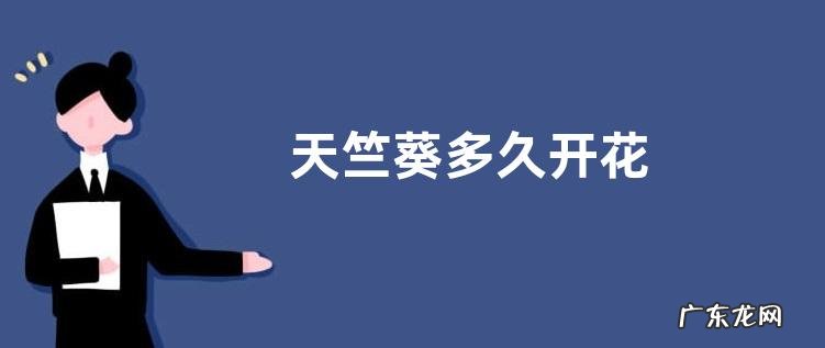 天竺葵多久开花