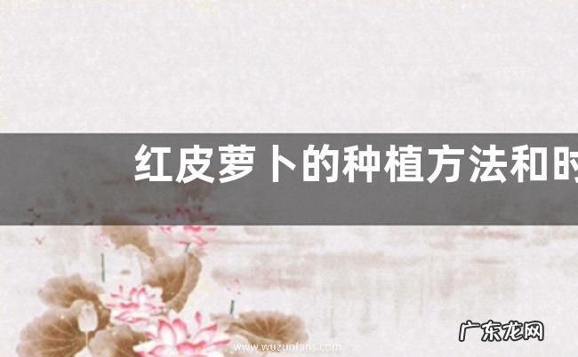 红皮萝卜的种植方法和时间 几月份种植好