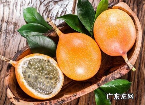 中国特产水果有哪些