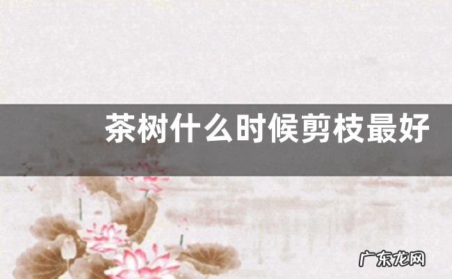 茶树什么时候剪枝最好 剪枝的最佳时间