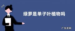 绿萝是单子叶植物吗