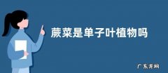 蕨菜是单子叶植物吗