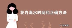 花卉浇水时间和正确方法