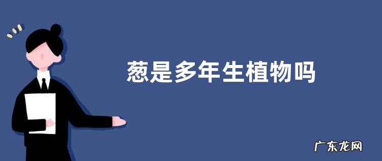 葱是多年生植物吗