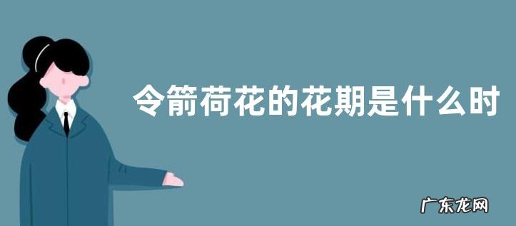 令箭荷花的花期是什么时候