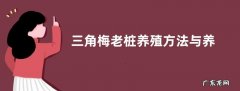 三角梅老桩养殖方法与养护事项
