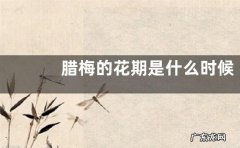 腊梅的花期是什么时候