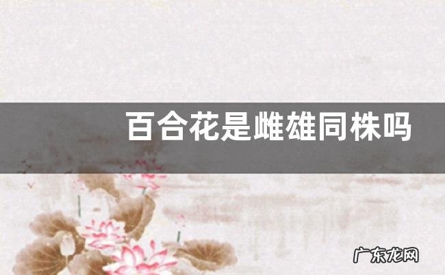 百合花是雌雄同株吗