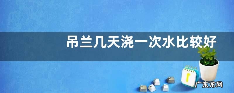 吊兰几天浇一次水比较好