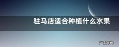 驻马店适合种植什么水果