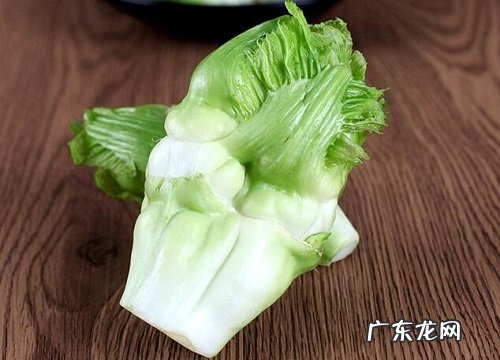 儿菜冬天会冻死吗