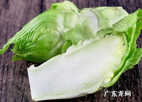 儿菜冬天会冻死吗