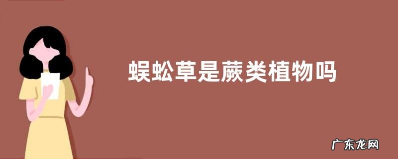 蜈蚣草是蕨类植物吗