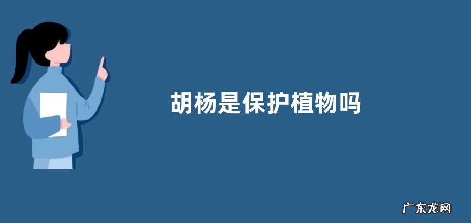 胡杨是保护植物吗