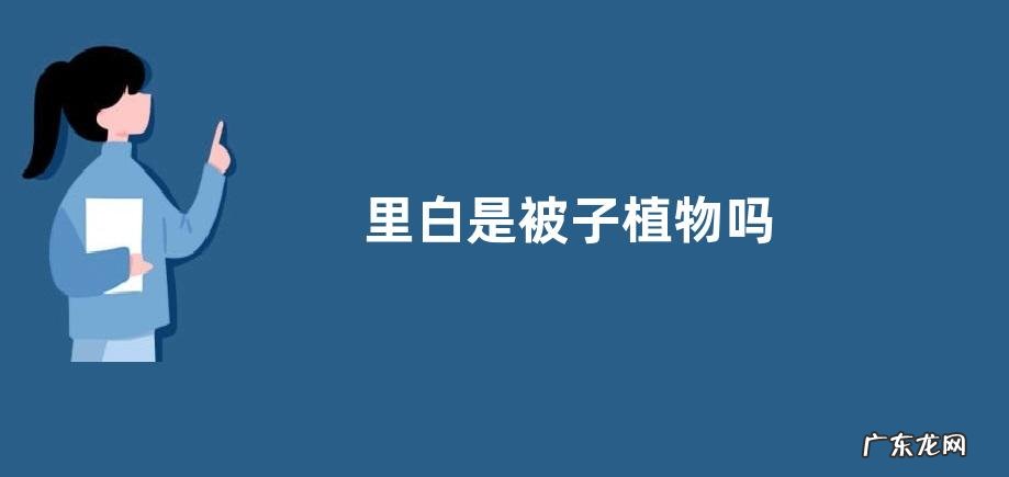 里白是被子植物吗
