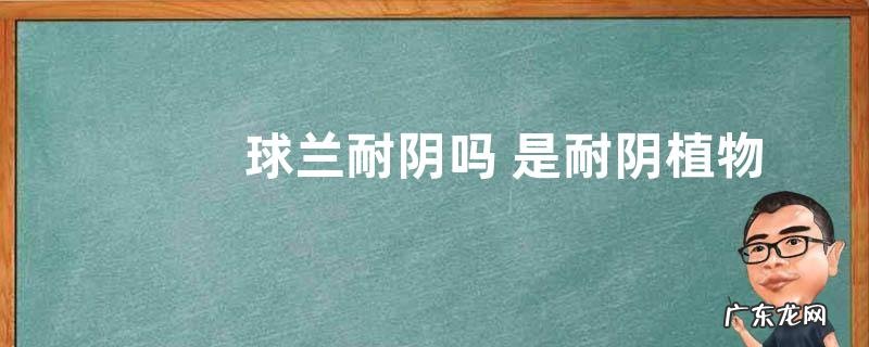 球兰耐阴吗 是耐阴植物吗