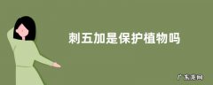 刺五加是保护植物吗